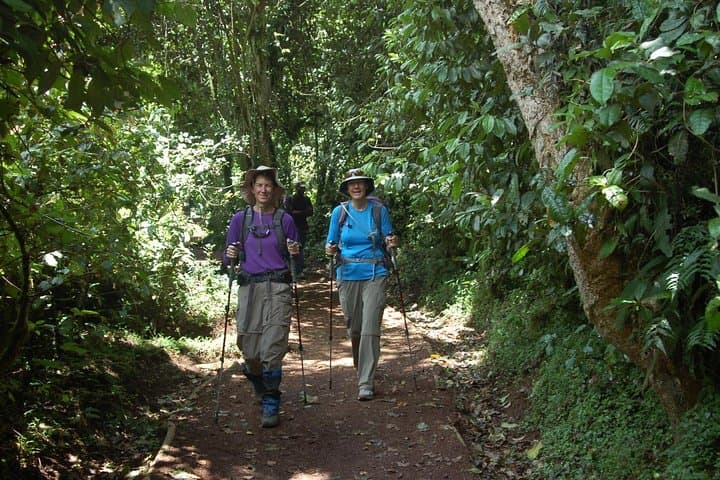 8-Day Lemosho Route: Mt. Kilimanjaro Guided Camping Climb to Uhuru Peak photo 3