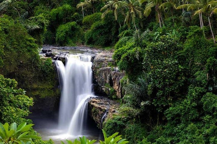 Ubud Waterfall Tour: Tegenungan, Tegalalang & Ubud Cultural Day Trip