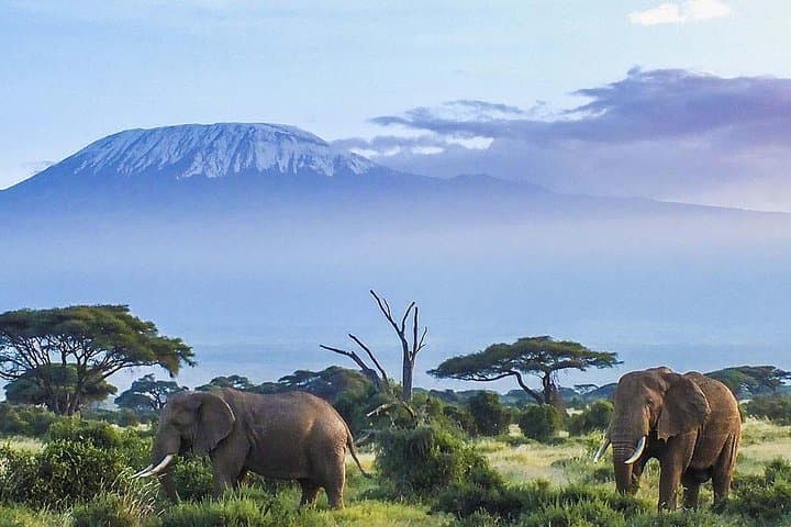 7-Day Kilimanjaro Machame Route: Practical Guide to Summiting Uhuru Peak