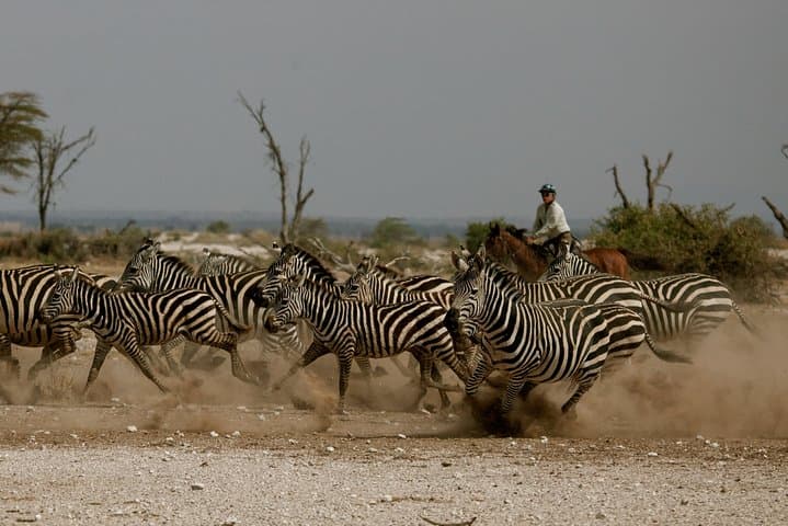 Tanzania Horse Safaris from Arusha: Ride Among Zebras and Antelope photo 1