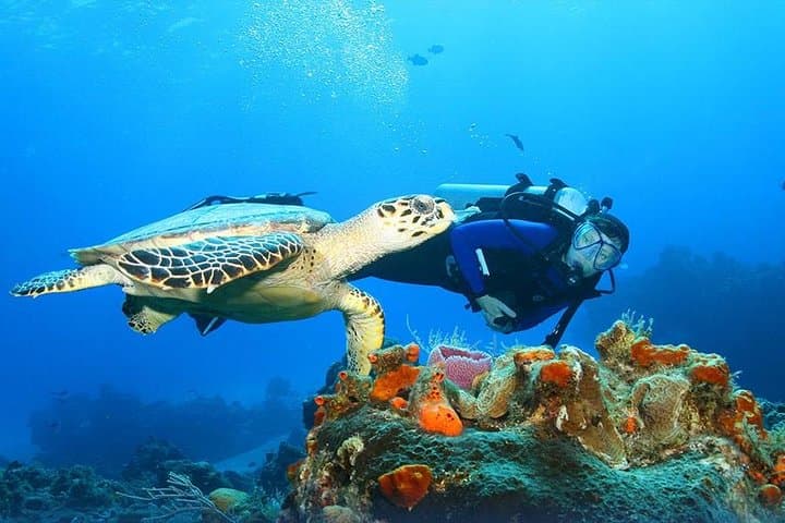 Cairo to Red Sea: 10-Day Pyramids, Luxor & Luxury Nile Cruise with Hurghada Beaches photo 3