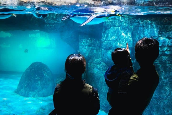 Custom Family Day in Yokohama: Private Host Tour for Kids & Parents photo 3