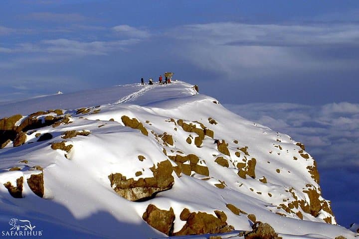 7-Day Kilimanjaro Machame Route: Practical Guide to Summiting Uhuru Peak photo 4