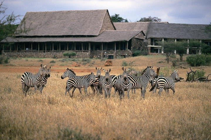 2-Day Mombasa to Tsavo West Safari — Kilaguni Serena, Mzima Springs & Shetani Lava photo 5