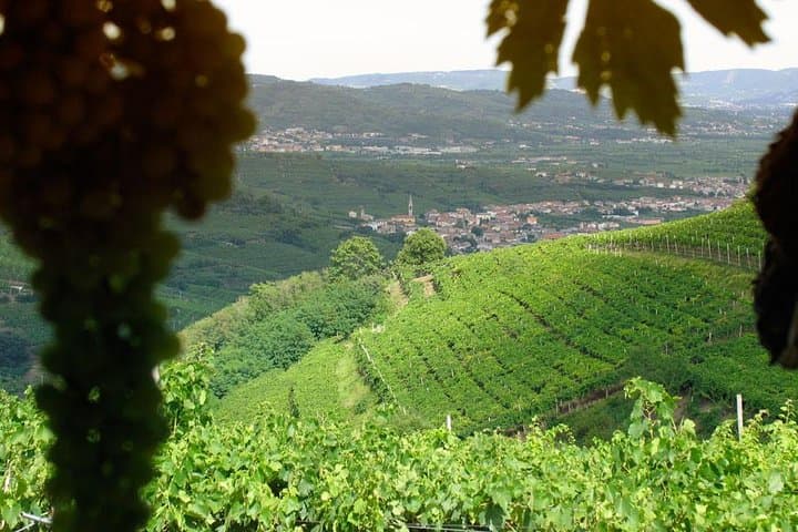 Amarone & Soave Day Tour from Venice: Verona Wine Tasting and Historic Walk