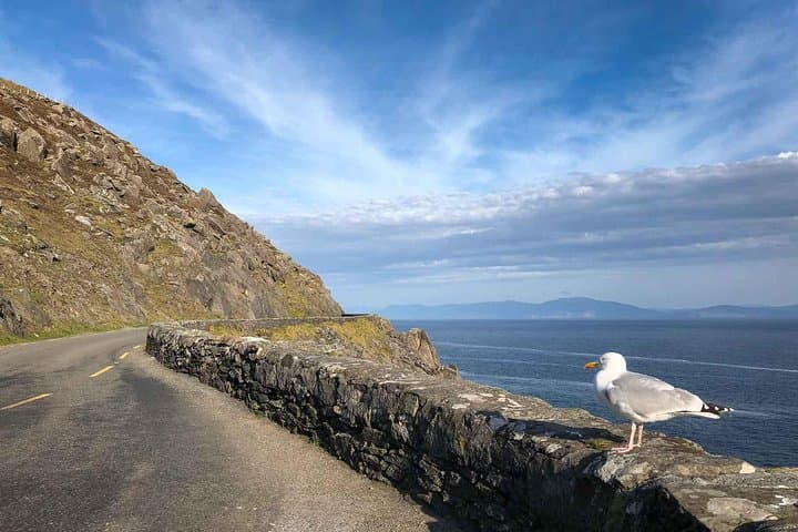 Slea Head Photo & Sightseeing Tour — Dingle Peninsula Coastal Drive and Photo Workshop photo 3