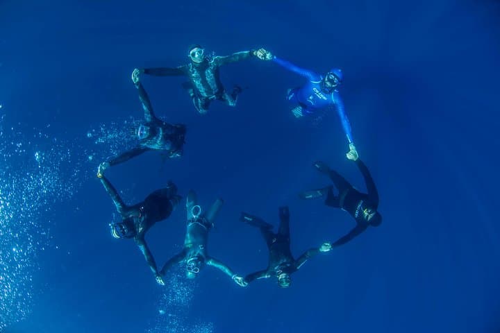 Apnea Discovery Lanzarote — Beginner Free-Diving Course and Marine Intro