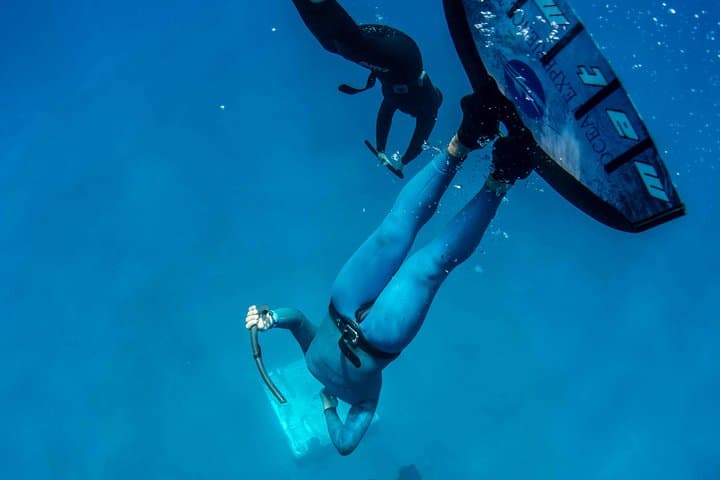 Apnea Discovery Lanzarote — Beginner Free-Diving Course and Marine Intro photo 3
