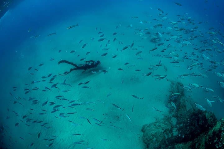 Apnea Discovery Lanzarote — Beginner Free-Diving Course and Marine Intro photo 4