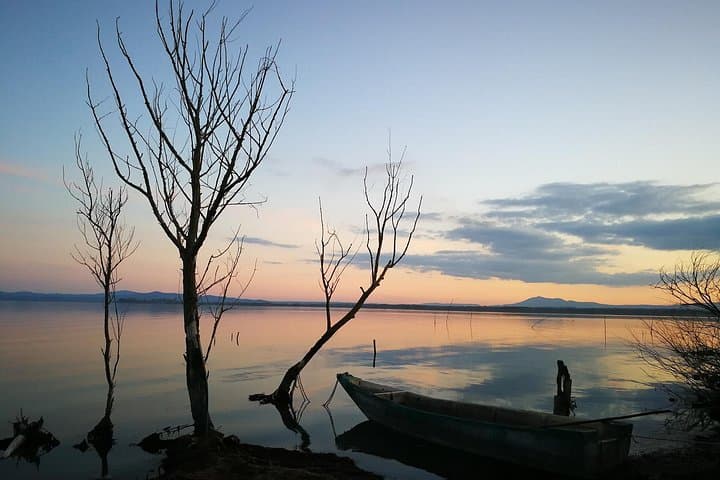 Lake Trasimeno Speedboat Tour with Lunch and Private Assisi Visit photo 1