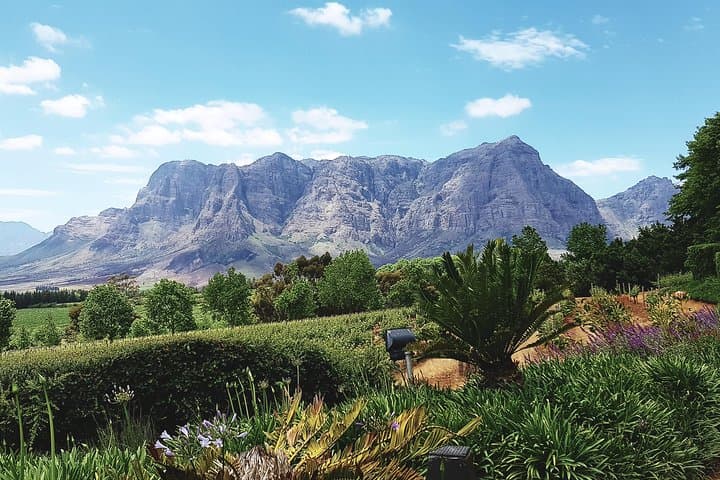 Private Cape Winelands Tour: Pinotage, Historic Estates & Tastings photo 6