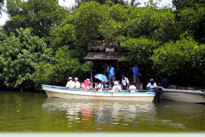 Private Day Trip to Galle Fort, Madu River Boat Ride & Kosgoda Turtle Hatchery photo 2