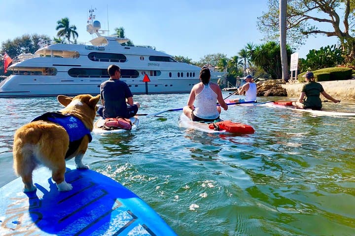 SUP PUP Paddleboard Tour — Paddle the Las Olas Canals with a Corgi Guide photo 3