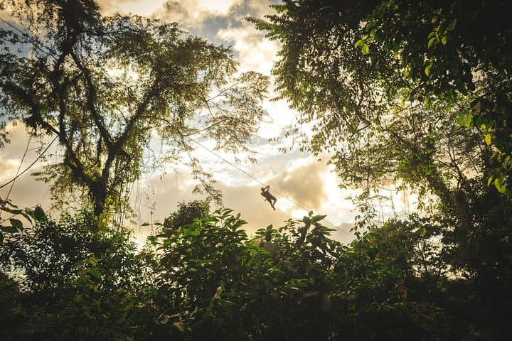 Monteverde Sky Tram, Sky Trek & Tree Climbing: Full-Day Cloud Forest Adventure photo 6