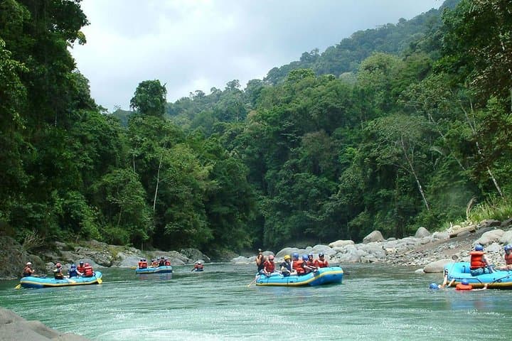Reventazón River Whitewater Rafting from San José — Class II–III Day Trip photo 2