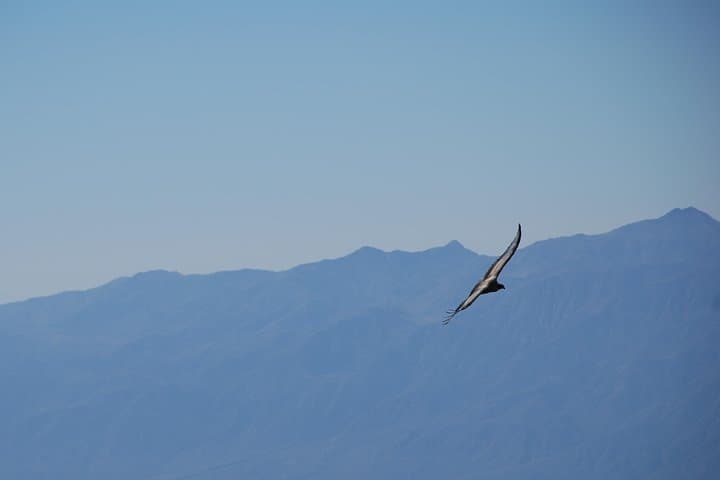 Three-Peak Andean Trek from Mendoza — Vallecitos High-Altitude Day Hike photo 2
