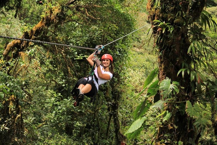 Selvatura Park Combo: Canopy Zipline, Hanging Bridges & Butterfly Garden from Monteverde