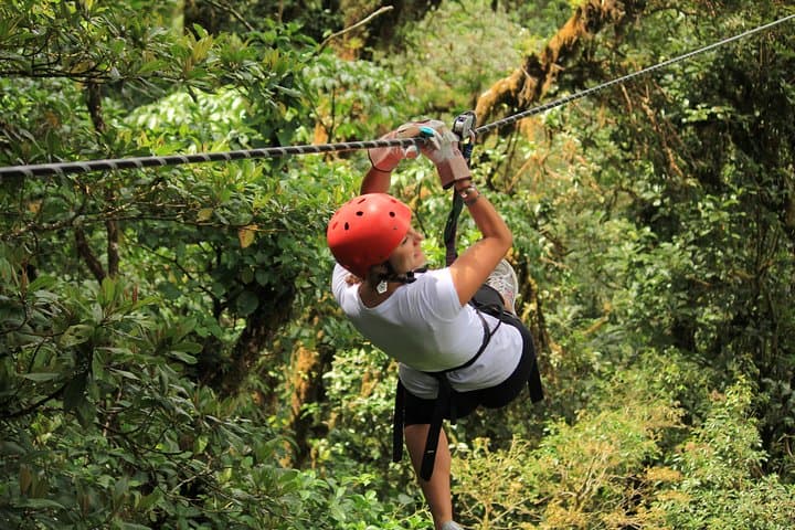 Monteverde Cloud Forest Canopy Zipline Tour photo 2