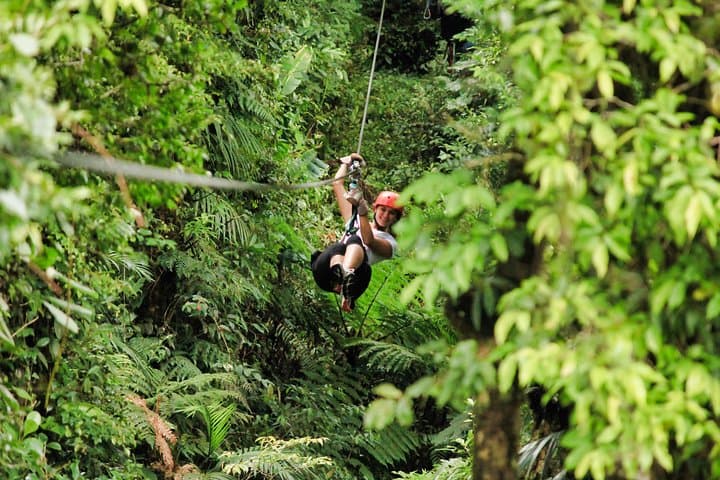 Selvatura Park Combo: Canopy Zipline, Hanging Bridges & Butterfly Garden from Monteverde photo 3