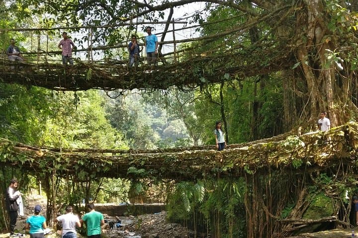 Assam & Meghalaya: 6-Day Kaziranga to Dawki Adventure photo 3