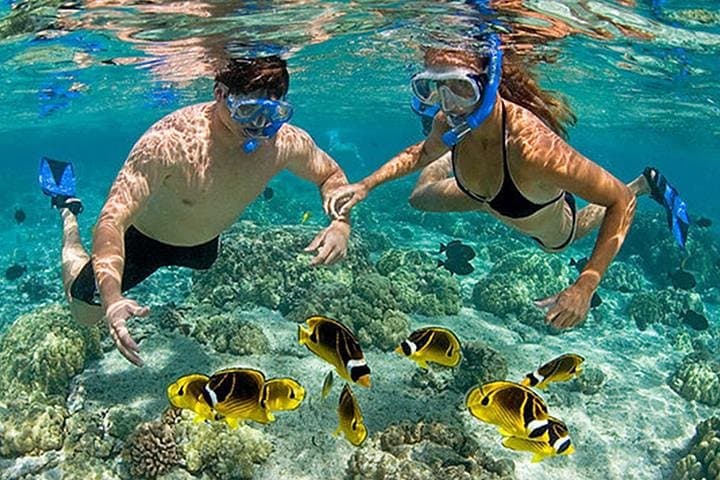 Pink Beach Lombok: Full-Day Snorkeling and Island Hopping from Tanjung Luar