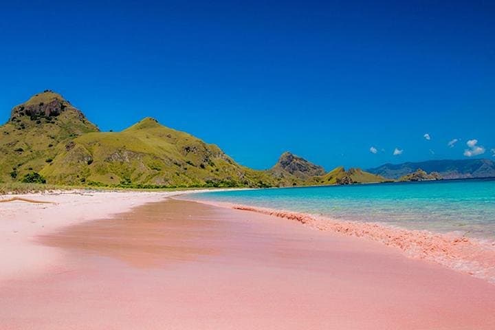 Pink Beach Lombok: Full-Day Snorkeling and Island Hopping from Tanjung Luar photo 2