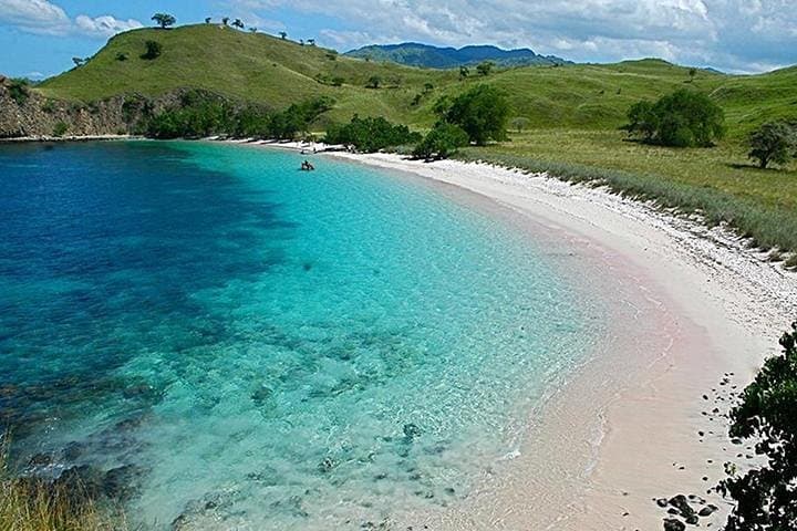 Pink Beach Lombok: Full-Day Snorkeling and Island Hopping from Tanjung Luar photo 3