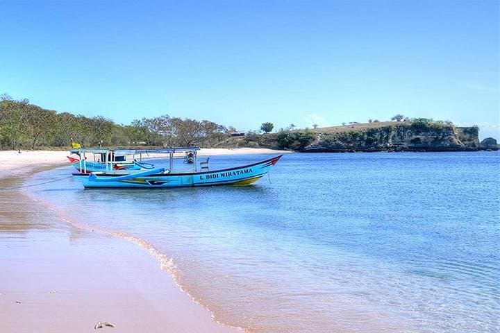 Pink Beach Lombok: Full-Day Snorkeling and Island Hopping from Tanjung Luar photo 5
