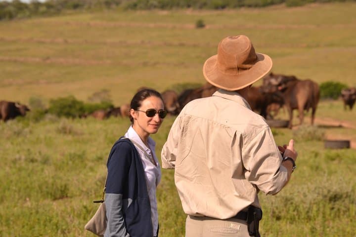 Giraffe Walk and Buffalo Experience — Addo Walking Safari near Port Elizabeth photo 4