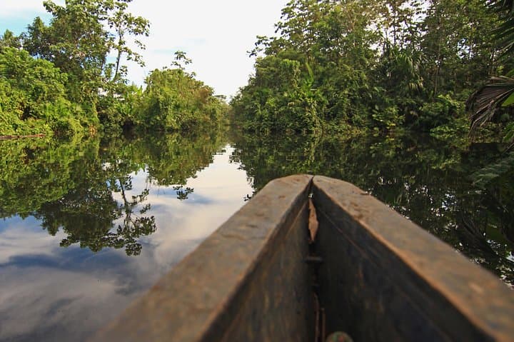 4-Day Amazon Jungle Adventure from Quito — Napo River Lodge & Kichwa Encounters photo 6