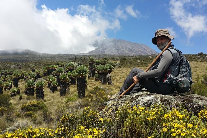 Marangu Route Day Hike to Mandara Hut — Kilimanjaro Rainforest Walk photo 2