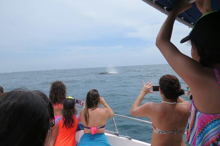 Private Whale Watching in the Pearl Islands aboard a 27ft Proline photo 4