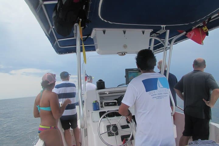 Private Whale Watching in the Pearl Islands aboard a 27ft Proline photo 6