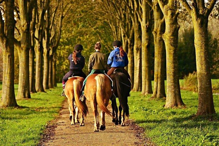 Norcineria Art Cooking Lab and Horseback Ride Near Perugia photo 5
