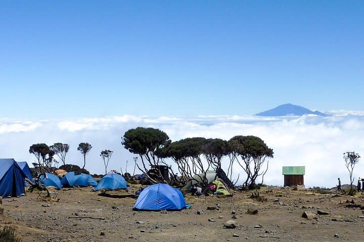 8-Day Machame Route Kilimanjaro Climb to Uhuru Peak photo 5