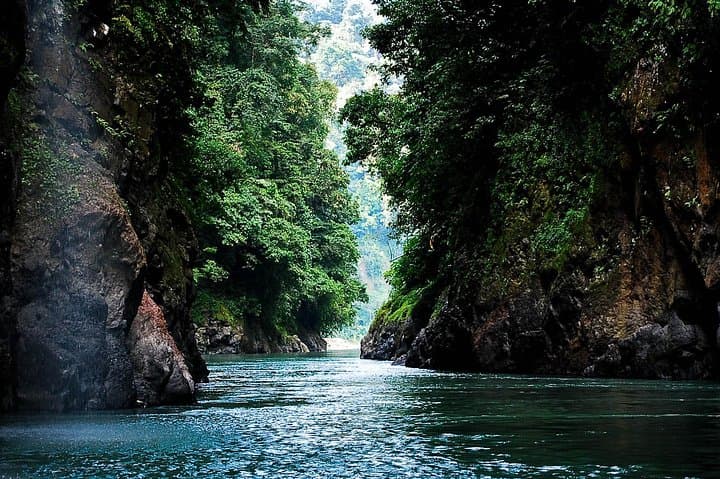 Pacuare River Whitewater Rafting from San José — Class III–IV Jungle Run photo 6