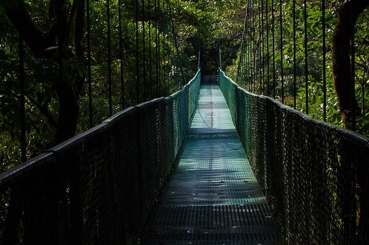 Selvatura Park Combo: Canopy Zipline, Hanging Bridges & Butterfly Garden from Monteverde photo 4