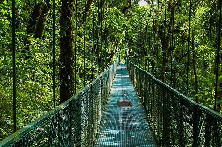 Selvatura Park Combo: Canopy Zipline, Hanging Bridges & Butterfly Garden from Monteverde photo 2
