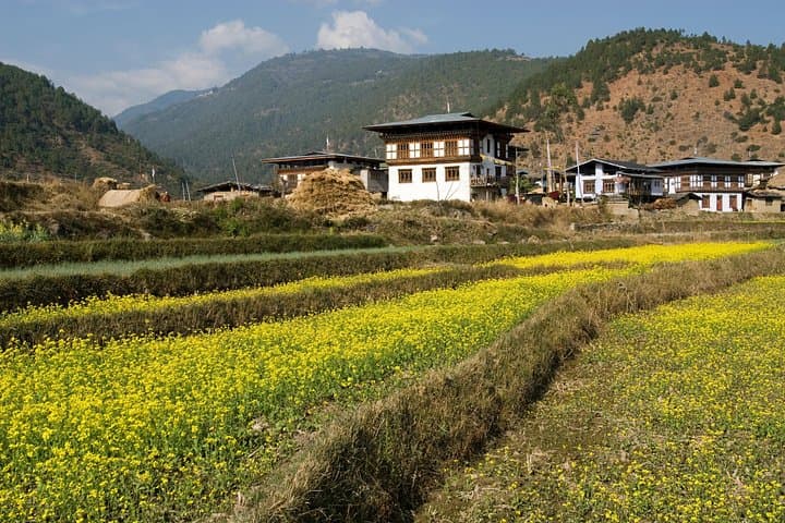Bhutan Vacation: 6-Day Cultural & Hike Tour to Paro, Thimphu & Punakha photo 6