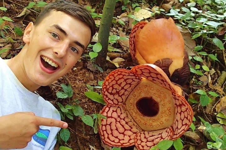Rafflesia Trek at Ulu Geroh — Day Trip from Kuala Lumpur to Gopeng Perak photo 1