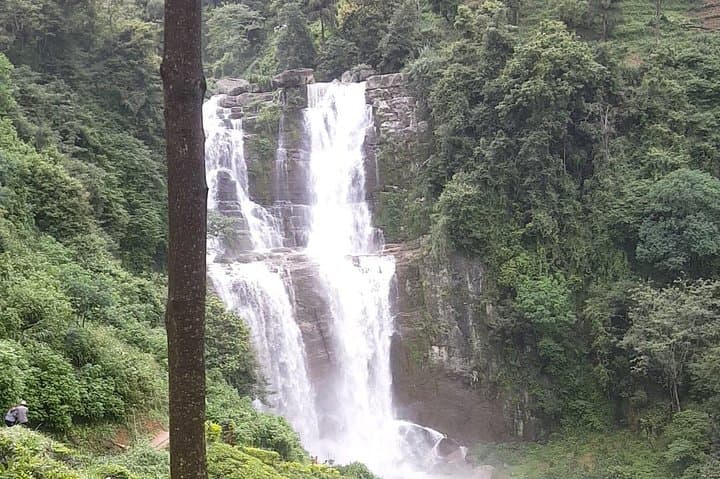 Kandy and Nuwara Eliya 2-Day Private Tour — Tea Plantations, Temple & Highland Lakes photo 2