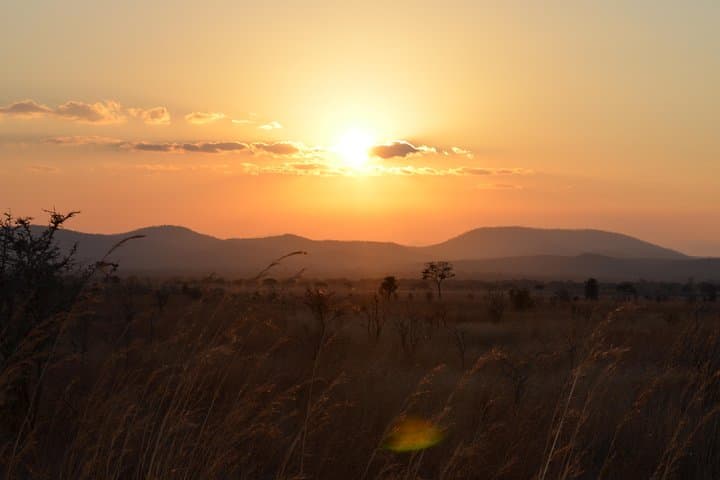 4-Day Serengeti & Ngorongoro Safari: Big Five Game Drives From Arusha photo 2