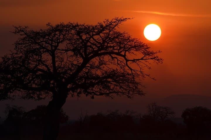 4-Day Serengeti & Ngorongoro Safari: Big Five Game Drives From Arusha photo 3
