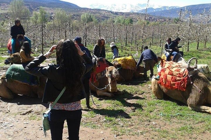 High Atlas Day Trip from Marrakech: Camel Ride, Hike & Berber Village Lunch photo 4