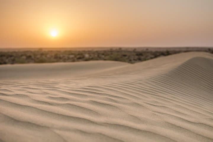 Billion Stars Desert Camp & Camel Safari from Jaisalmer photo 3