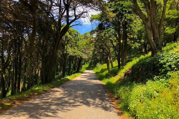 Sintra to Cascais E‑Bike Self‑Guided Route: Coastal Cliffs, Forest Tracks & Guincho