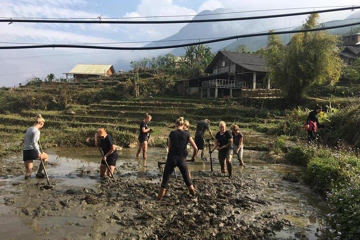 Sapa Trekking Unique Route: 2-Day Homestay Trek in Y Linh Ho & Ta Van photo 2
