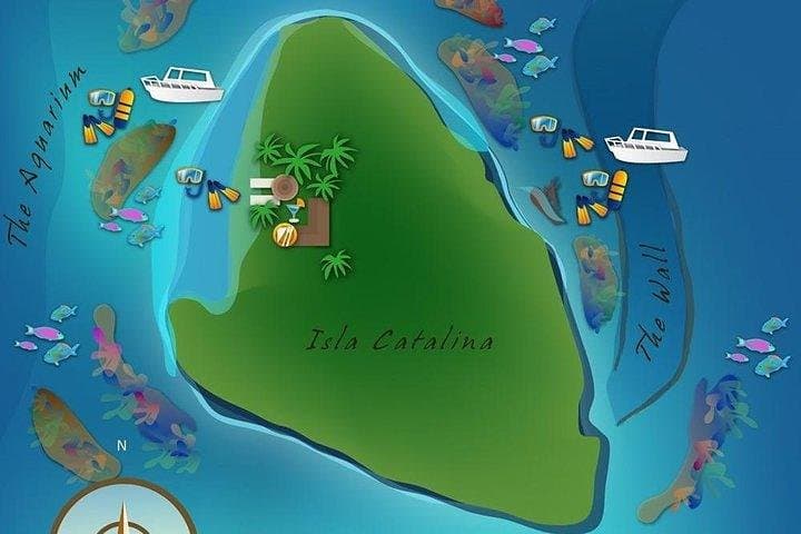 Catalina Island Scuba: Two-Tank Full-Day Dive from La Romana photo 2