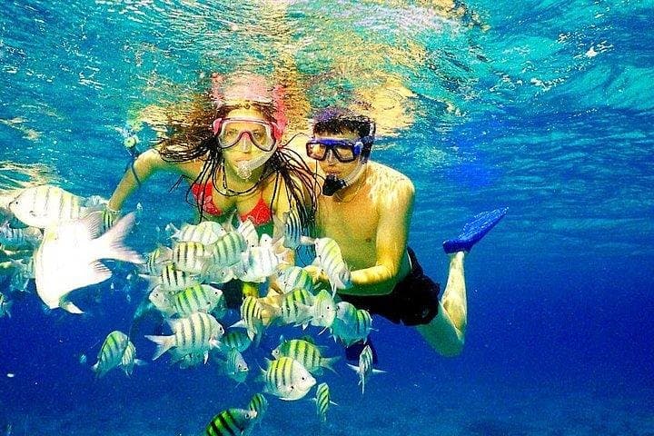 Catalina Island Scuba: Two-Tank Full-Day Dive from La Romana photo 3