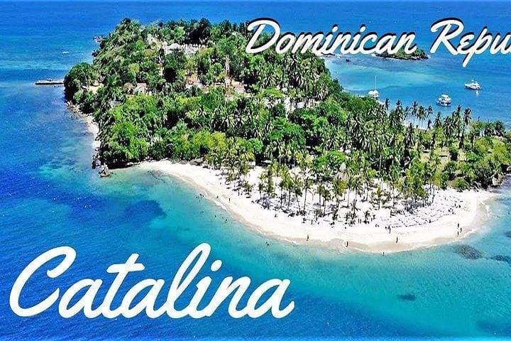 Catalina Island Scuba: Two-Tank Full-Day Dive from La Romana photo 5